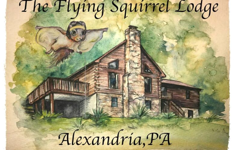 Vacation Cabin Rental - The Flying Squirrel Lodge