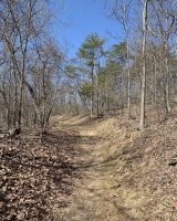 Flag Pole Hill Trail System