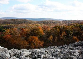 Rothrock State Forest