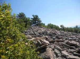 Stone Mountain Overlook